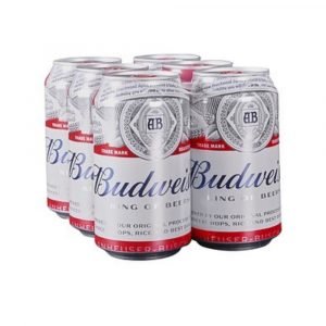 6-Pack Budweiser